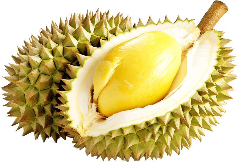 Durian